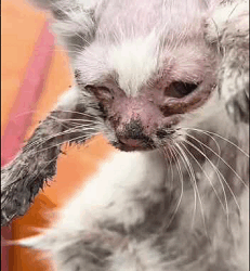 Any animal needs to be loved (Part 2)