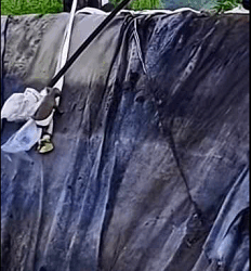 Save the dog that fell down the cliff (Part 2)