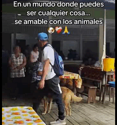 Por favor, NO cuesta nada darles un bocadito (Full video)