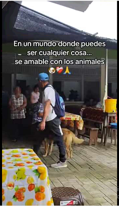 Por favor, NO cuesta nada darles un bocadito (Full video)