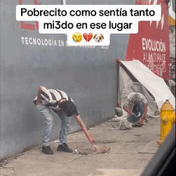 Pobrecito como estaba de trist3 en ese lugar (Full video)