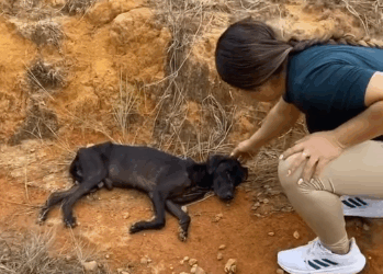 Ellos también merecen recibir amor cuidado (Full video)