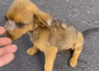 No ha tenido un amigo ni AMOR por meses (Full video)