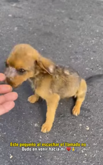 No ha tenido un amigo ni AMOR por meses (Full video)