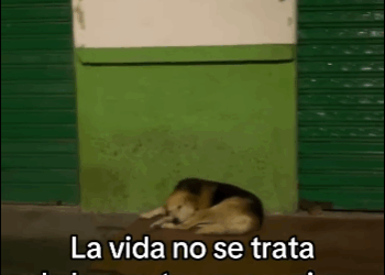 La mejor sensacion (Full video)