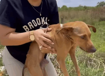 Todos merecen tener una segunda oportunidad (Full video)