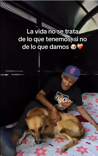 Con su nueva casita no se volverán mojar más (Part 2)