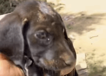 Quien puede 4b4ndon4rlo así enfermito (Part 2)