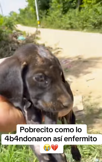 Quien puede 4b4ndon4rlo así enfermito (Part 2)