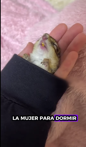 Rescatar la ardilla (Part 2)