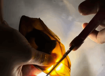 Un hombre vio una extraña cápsula en la playa decidió lleva (Part 2)