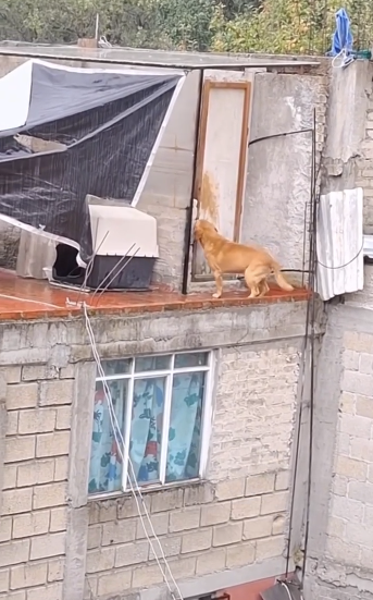 Cada día llueve sobre mí nadie viene salvarme (part2)