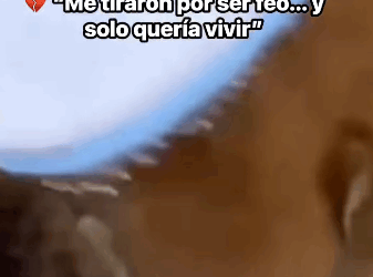 Me tiraron por ser feo solo quería vivir El angel de la montaña_part 2