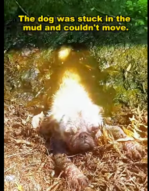 Their world has no roof, but we can support them (Part 2)