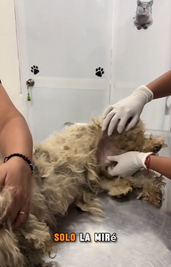 Me llamo Basura,fuy despreciada como si no valiera nada El angel de la montaña (Part 2)