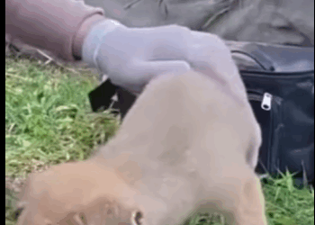 Me golpeó en la cabeza me tiró morir como si fuera nada (Part 2)