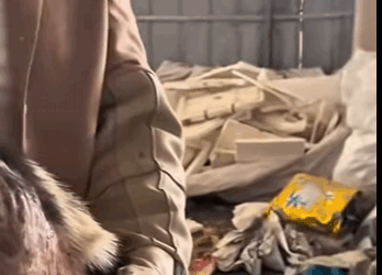 💔Me dejaron morir entre basura,hasta que un hombre de la calle me salvò (Part 2)