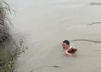 Puppy can’t swim (Full video)