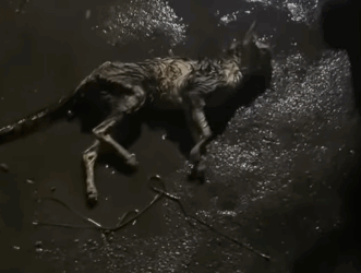 Left behind but never forgotten. See how kindness changed everything (Full video)