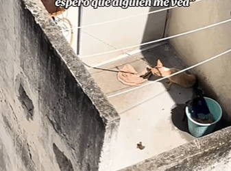 El sol quema, la sed duele aún espero que alguien me vea (Part 2)