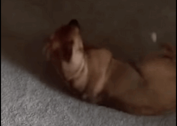 Mi cuerpo temblaba, mi boca soltaba espuma… y entonces Dios obró un milagro (Part 2)