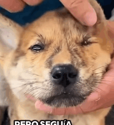 Solo por romper un vaso de Cristal (Part 2)