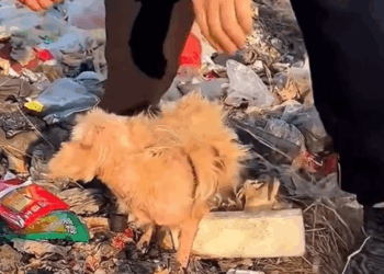 Every life matters — no voice should be left unheard