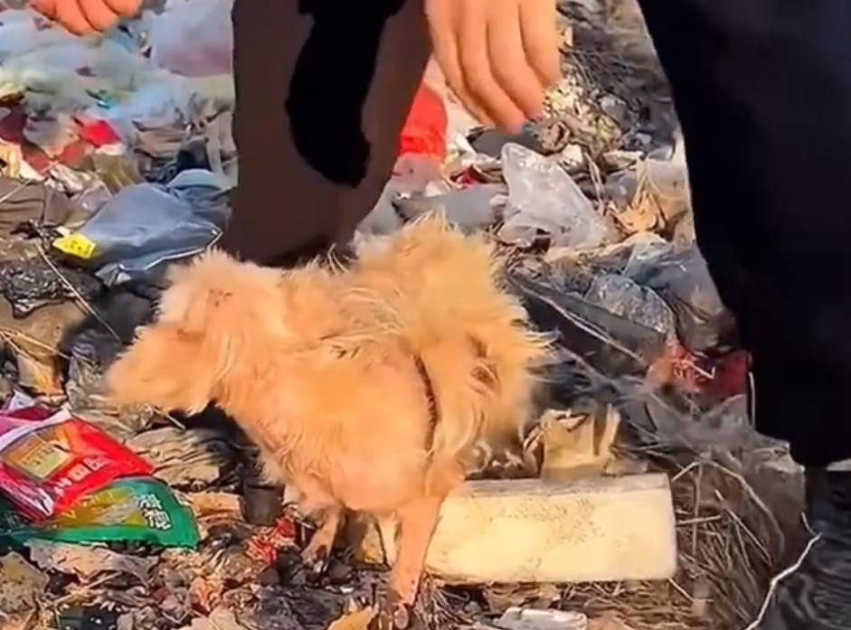 Every life matters — no voice should be left unheard