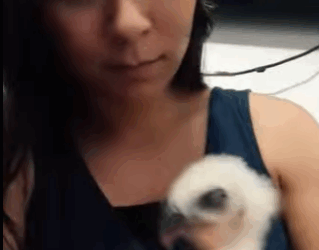 Águila de rescate (Part 2)