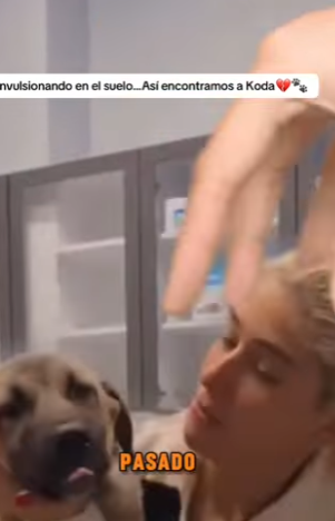 Convulsionando en el suelo…Así encontramos a Koda (PART 2)