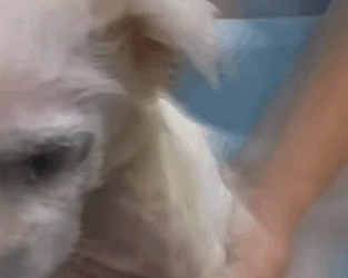 Me amarraron la Boca solo por dar amor..y casi muero bajo el Sol.