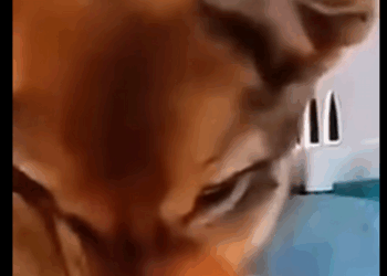 Mi cuerpito se congelab@..Mientras el mundo me olvidaba (Part 2)