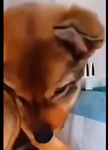 Mi cuerpito se congelab@..Mientras el mundo me olvidaba (Part 2)