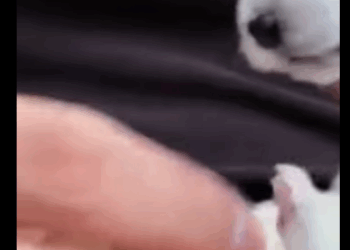 Nací para morir..Pero el amor me salvò (PART 2)