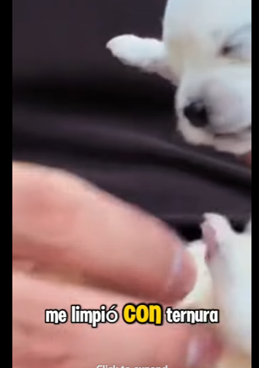 Nací para morir..Pero el amor me salvò (PART 2)