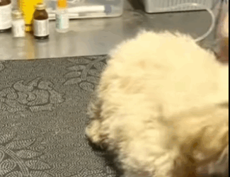 Sobreviví a los Golpes… y a la Alcantarilla Que Iba a Ser Mi (PART 2)