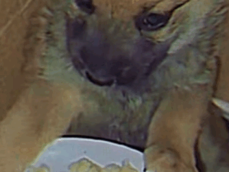 Temblaba de miedo sin entender por qué me dolía vivir (PART 2)