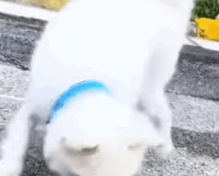 “Tenía sed, hambre… y esperanza en la persona equivocada” (PART 2)