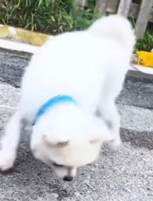 “Tenía sed, hambre… y esperanza en la persona equivocada” (PART 2)