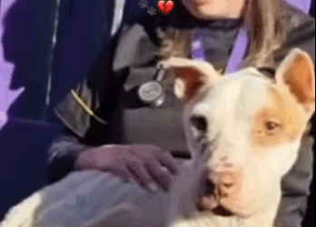 Viví un tormento sin fin del encierro y el dolor..Pero hoy soy feliz (PART 2)