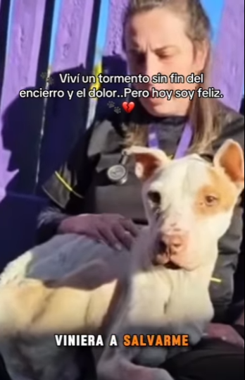 Viví un tormento sin fin del encierro y el dolor..Pero hoy soy feliz (PART 2)