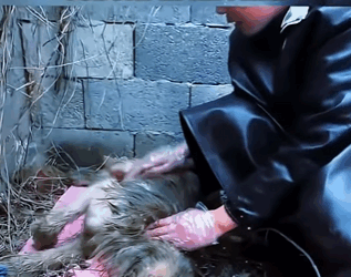 They were once broken, but love healed them (PART 2)