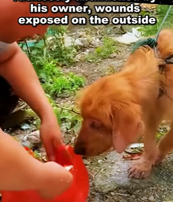 You can’t buy love, but you can rescue it (PART 2)