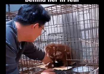 Together, we can give them the life they deserve (PART 2)