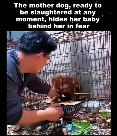 Together, we can give them the life they deserve (PART 2)