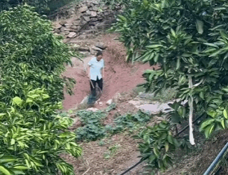 Every life matters — no paw left behind (PART 2)