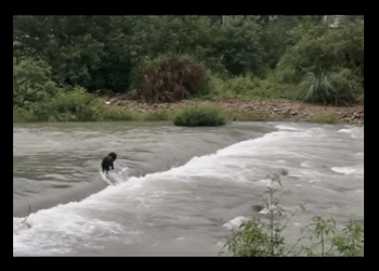 From fear to freedom — watch this rescue story unfold (PART 2)