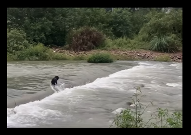 From fear to freedom — watch this rescue story unfold (PART 2)