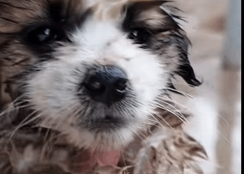 Because kindness is the best medicine (PART 2)