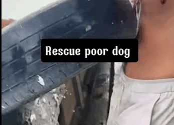 Behind every rescue is a story of courage and compassion (PART 2)